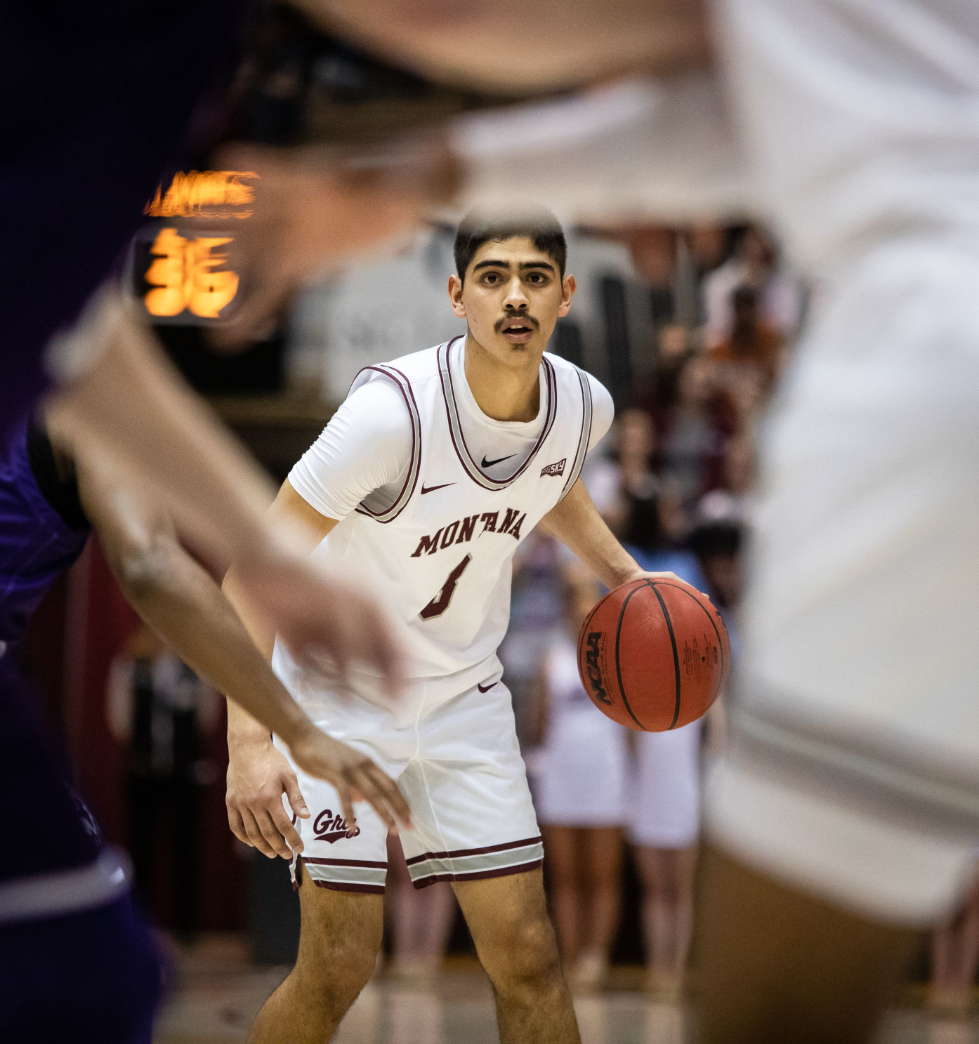 Griz v. Weber 6